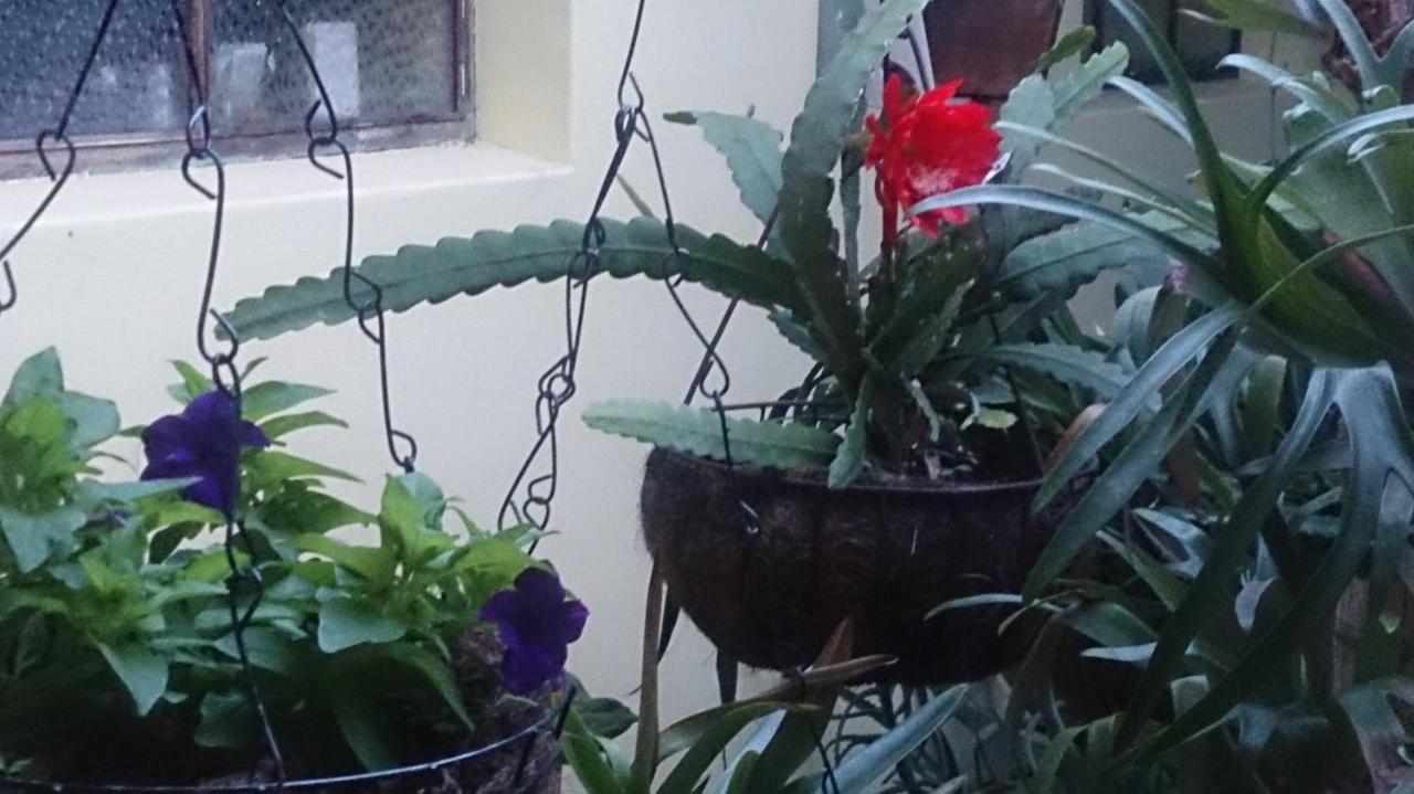 Casa Luna -Estrategica Ubicacion- Medellín Zewnętrze zdjęcie